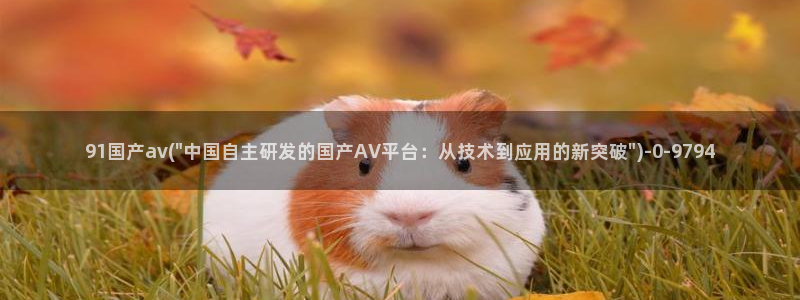 AV成人视频在线